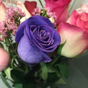 Meet your Posher, Nelo